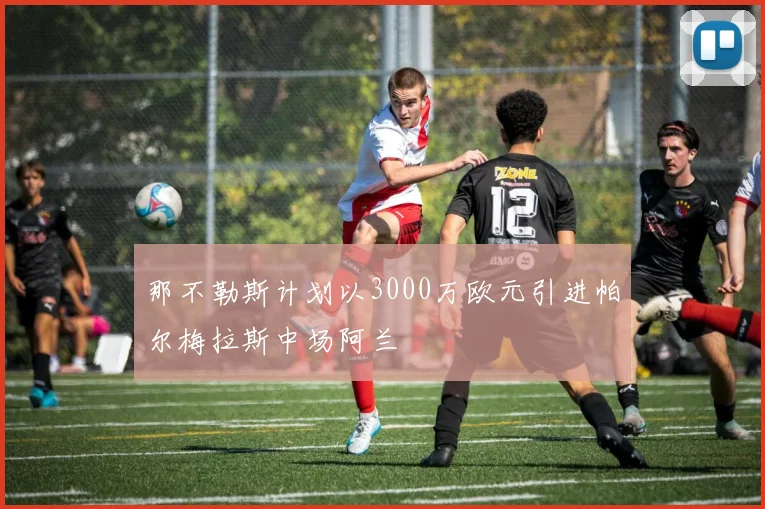 那不勒斯计划以3000万欧元引进帕尔梅拉斯中场阿兰