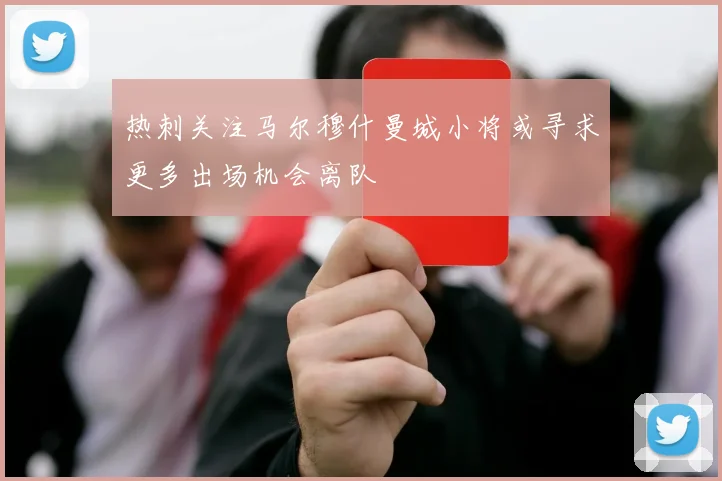 热刺关注马尔穆什曼城小将或寻求更多出场机会离队