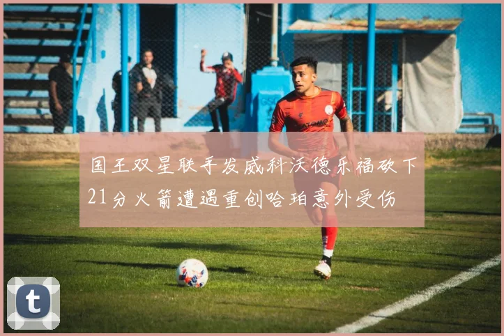 国王双星联手发威科沃德乐福砍下21分火箭遭遇重创哈珀意外受伤